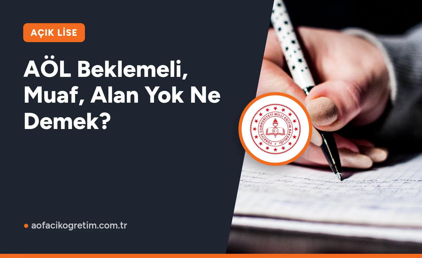 AÖL Beklemeli, Muaf, Alan Yok Ne Demek?