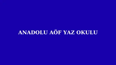 Anadolu AÖF Yaz Okulu